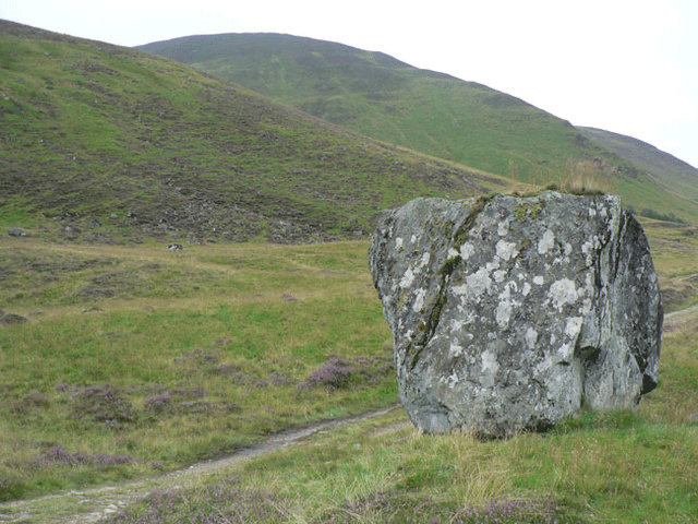 A large rock in a field. This rock is at rest with zero velocity and will remain at rest until a unbalanced force causes it to move.